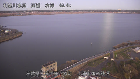 sakura2025120417_image