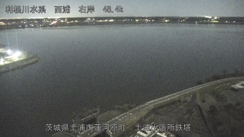 sakura2025120422_image