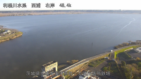 sakura2025120508_image