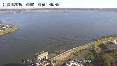 sakura2025120509_image