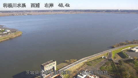 sakura2025120510_image