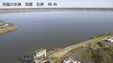 sakura2025120511_image