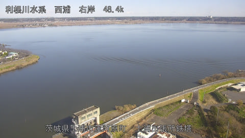 sakura2025120512_image