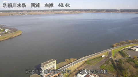 sakura2025120513_image