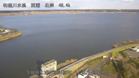 sakura2025120514_image