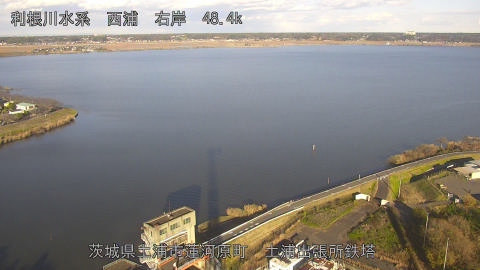 sakura2025120515_image