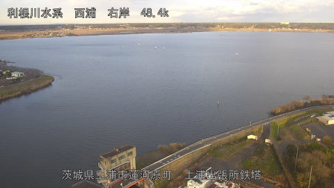 sakura2025120516_image