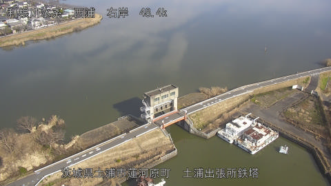 sakura2026010512_image