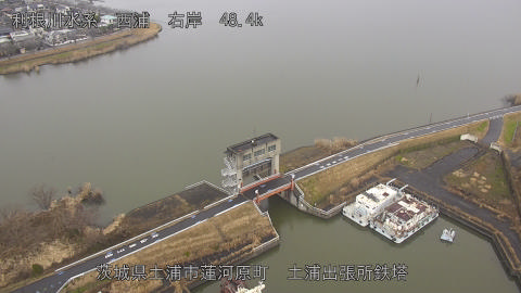 sakura2026010712_image