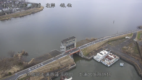 sakura2026011112_image