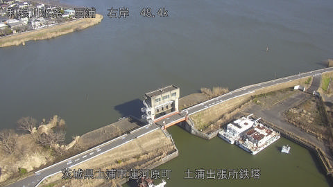 sakura2026011312_image