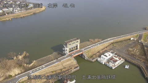 sakura2026011512_image