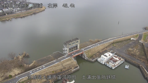 sakura2026011912_image