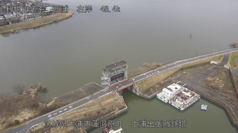 sakura2026012012_image