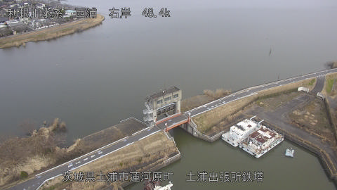 sakura2026012112_image