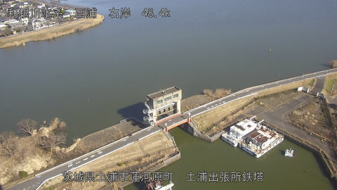 sakura2026012412_image