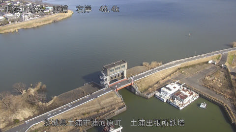 sakura2026012512_image