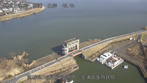 sakura2026012712_image