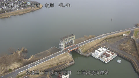 sakura2026012812_image