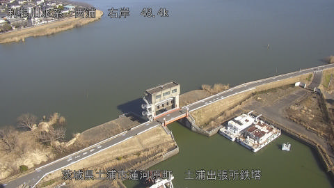 sakura2026012912_image