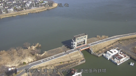 sakura2026013012_image