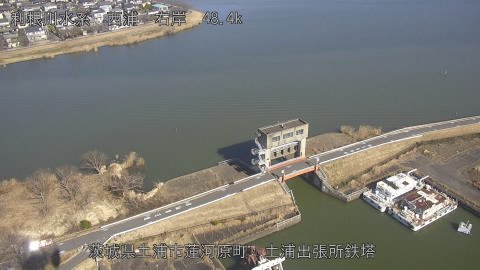 sakura2026020112_image