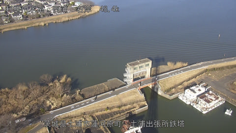 sakura2026020115_image