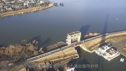 sakura2026020116_image