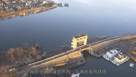 sakura2026020117_image