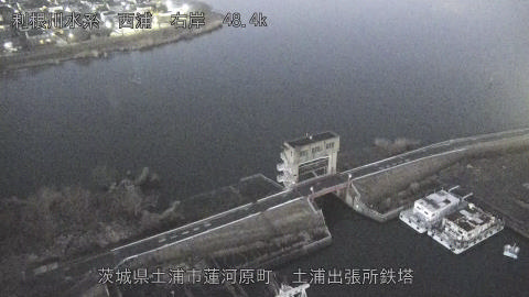 sakura2026020118_image