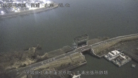 sakura2026020122_image