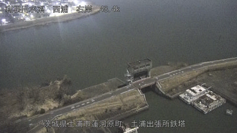 sakura2026020123_image