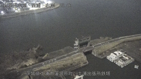 sakura2026020202_image