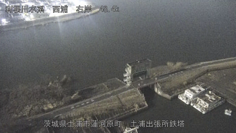 sakura2026020205_image