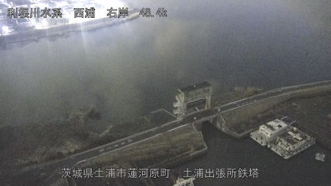 sakura2026020206_image