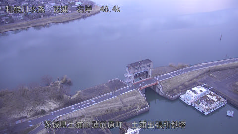 sakura2026020207_image