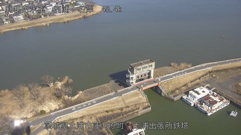 sakura2026020212_image