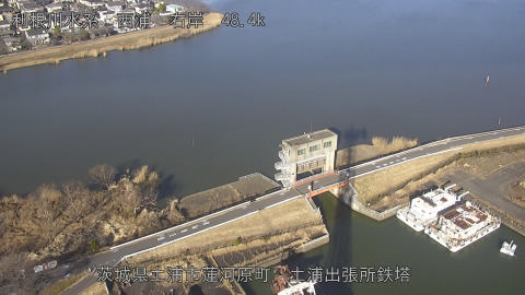 sakura2026020215_image