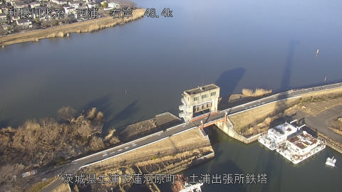 sakura2026020216_image