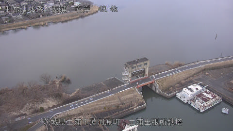 sakura2026020217_image