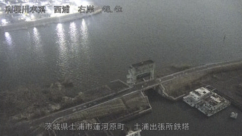 sakura2026020220_image