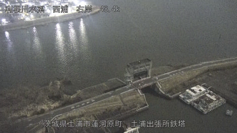 sakura2026020222_image