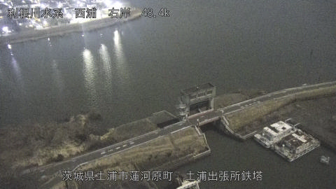 sakura2026020223_image