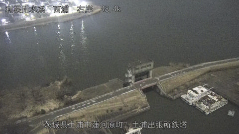 sakura2026020301_image