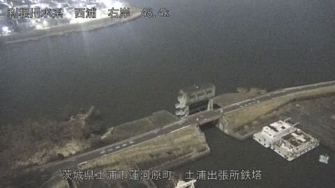 sakura2026020303_image