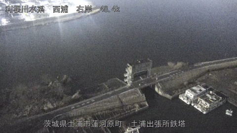 sakura2026020306_image