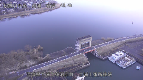 sakura2026020307_image