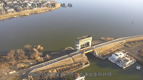 sakura2026020308_image