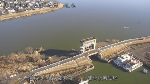 sakura2026020309_image