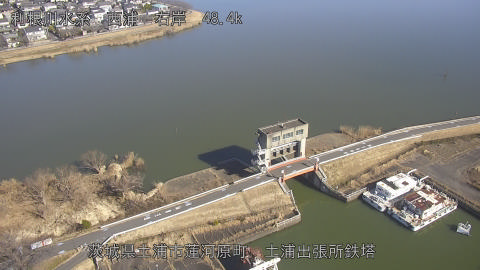 sakura2026020311_image